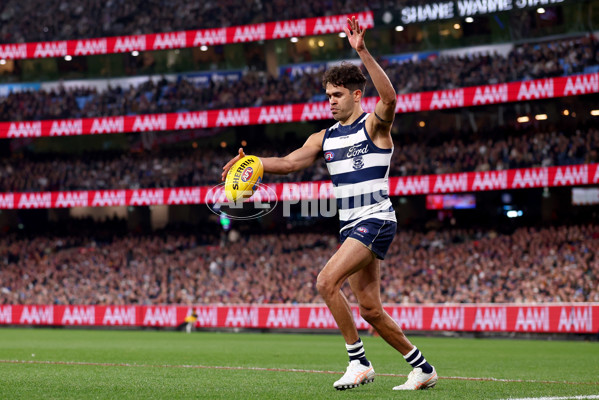 AFL 2025 Second Qualifying Final - Geelong v Brisbane - A-62246750
