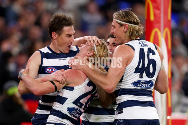 AFL 2025 Second Qualifying Final - Geelong v Brisbane - A-62246773