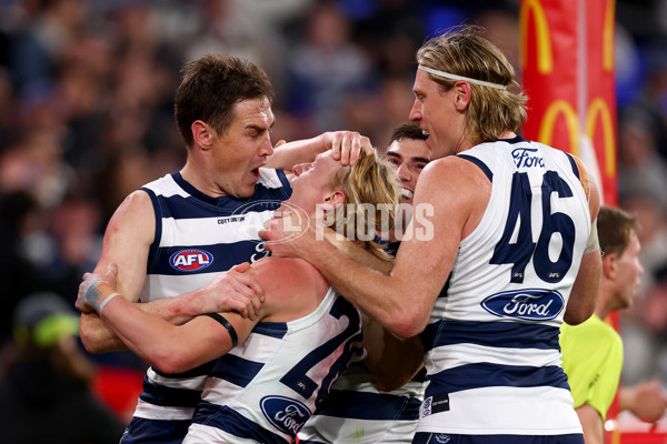 AFL 2025 Second Qualifying Final - Geelong v Brisbane - A-62246843