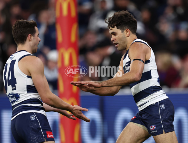 AFL 2025 Second Qualifying Final - Geelong v Brisbane - A-62246851
