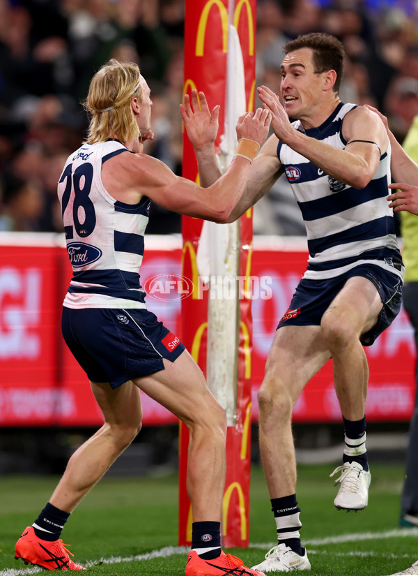 AFL 2025 Second Qualifying Final - Geelong v Brisbane - A-62249151