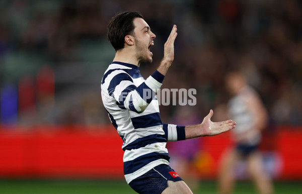 AFL 2025 Second Qualifying Final - Geelong v Brisbane - A-62249182