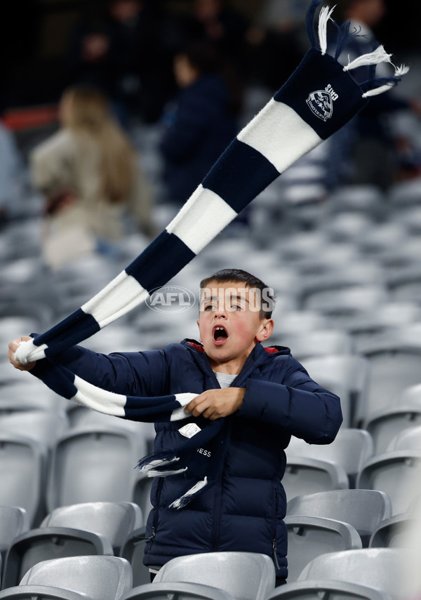 AFL 2025 Second Qualifying Final - Geelong v Brisbane - A-62249225