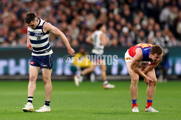 AFL 2025 Second Qualifying Final - Geelong v Brisbane - A-62249563