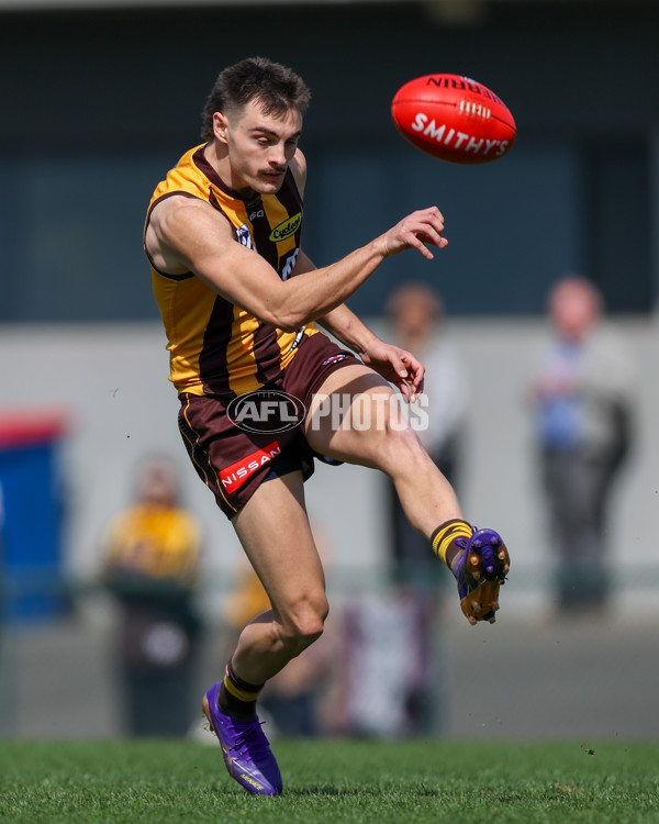 VFL 2025 Second Semi Final - Box Hill v Brisbane - A-62254485