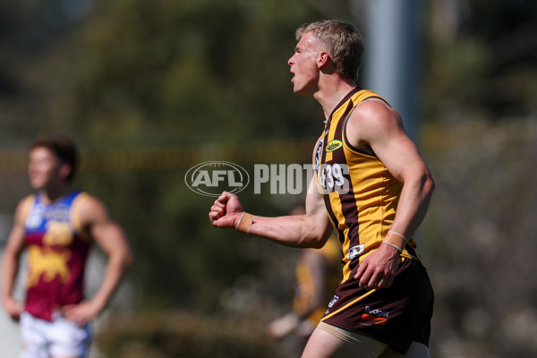 VFL 2025 Second Semi Final - Box Hill v Brisbane - A-62254489
