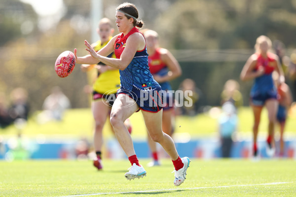 AFLW 2025 Round 04 - Narrm v Richmond - A-62254567