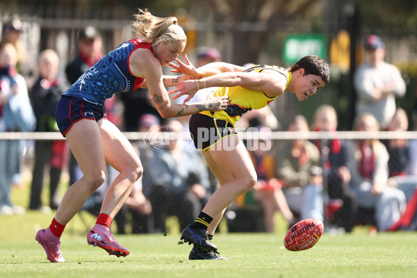 AFLW 2025 Round 04 - Narrm v Richmond - A-62257311