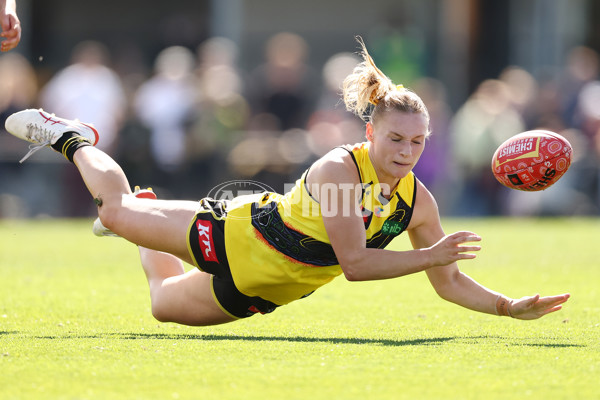 AFLW 2025 Round 04 - Narrm v Richmond - A-62263362