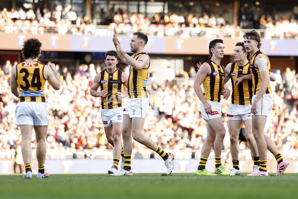 AFL 2025 First Elimination Final - GWS v Hawthorn - A-62276221