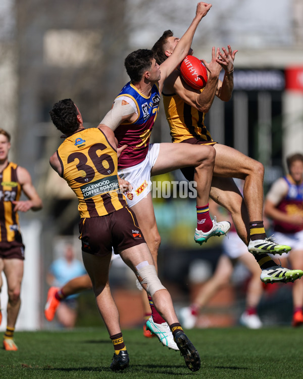 VFL 2025 Second Semi Final - Box Hill v Brisbane - A-62276287