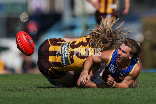 VFL 2025 Second Semi Final - Box Hill v Brisbane - A-62277725