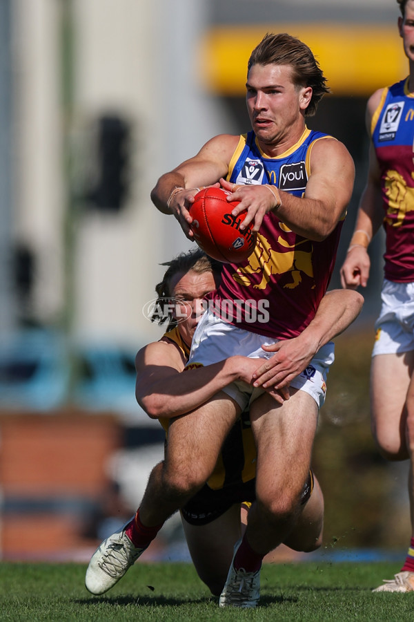 VFL 2025 Second Semi Final - Box Hill v Brisbane - A-62277726