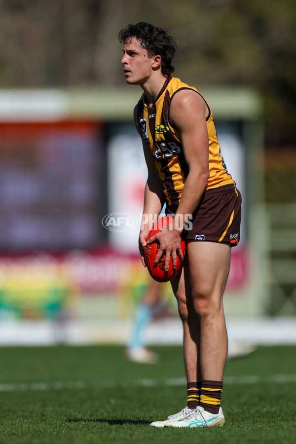 VFL 2025 Second Semi Final - Box Hill v Brisbane - A-62287359