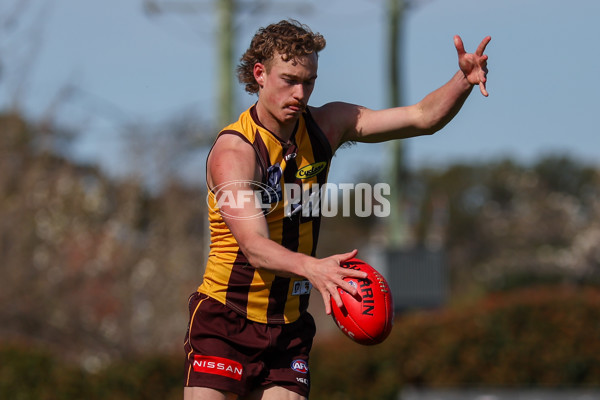 VFL 2025 Second Semi Final - Box Hill v Brisbane - A-62287362