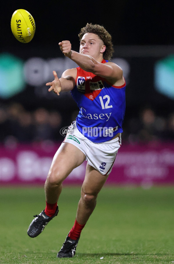 VFL 2025 First Semi Final - Frankston v Casey Demons - A-62291214