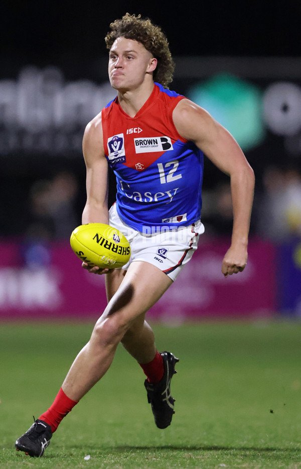VFL 2025 First Semi Final - Frankston v Casey Demons - A-62292579