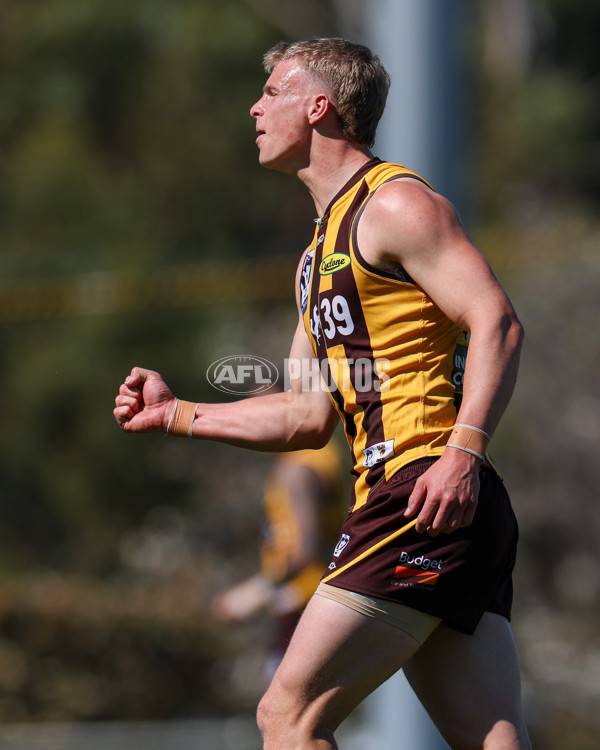 VFL 2025 Second Semi Final - Box Hill v Brisbane - A-62296350
