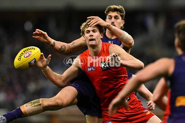 AFL 2025 Second Elimination Final - Fremantle v Gold Coast - A-62298374