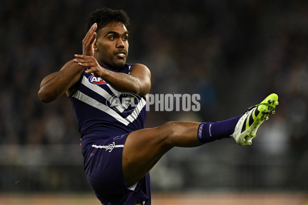 AFL 2025 Second Elimination Final - Fremantle v Gold Coast - A-62301117