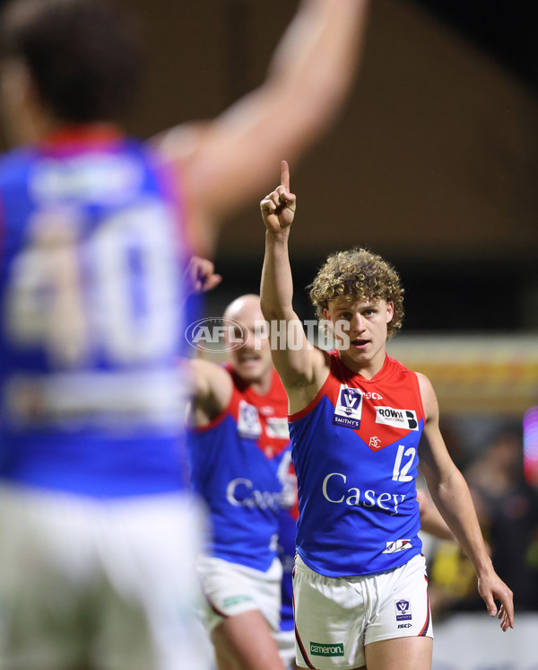 VFL 2025 First Semi Final - Frankston v Casey Demons - A-62301120