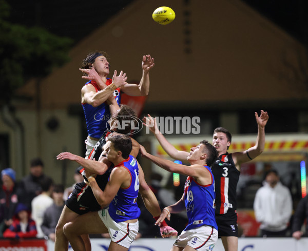 VFL 2025 First Semi Final - Frankston v Casey Demons - A-62301210