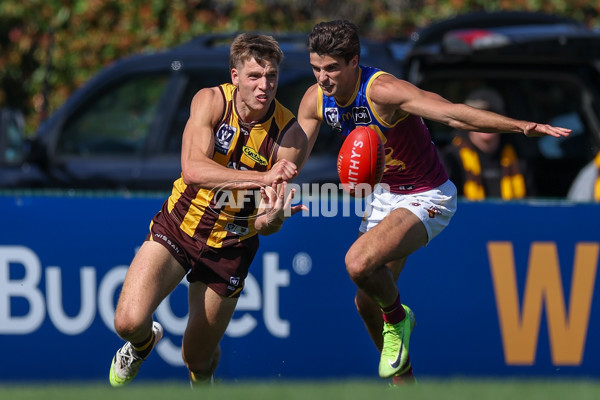 VFL 2025 Second Semi Final - Box Hill v Brisbane - A-62303544