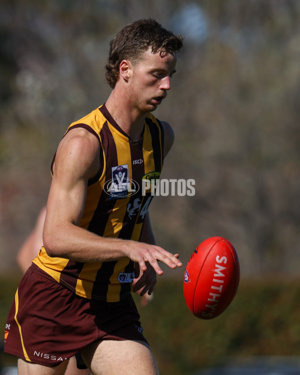 VFL 2025 Second Semi Final - Box Hill v Brisbane - A-62303945