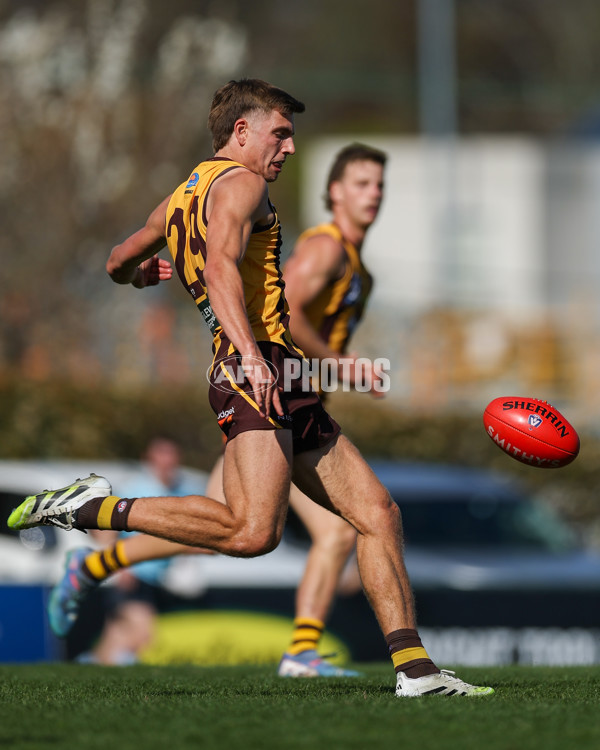 VFL 2025 Second Semi Final - Box Hill v Brisbane - A-62306215