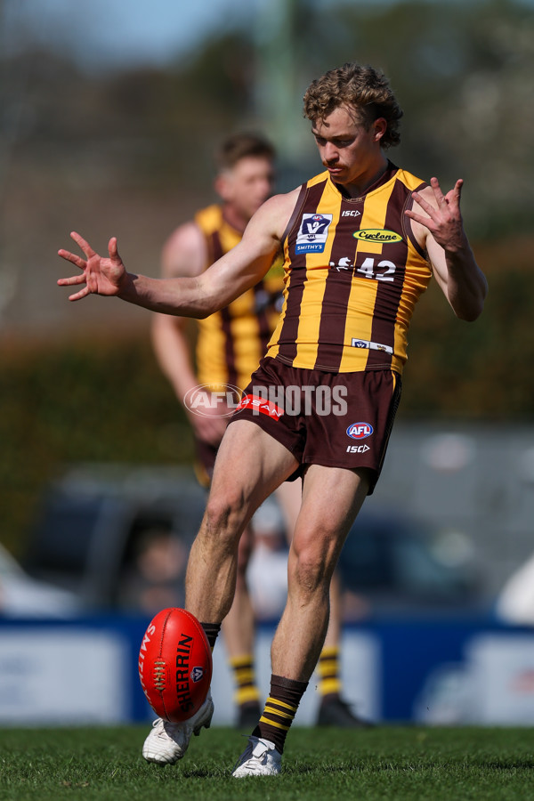 VFL 2025 Second Semi Final - Box Hill v Brisbane - A-62309138