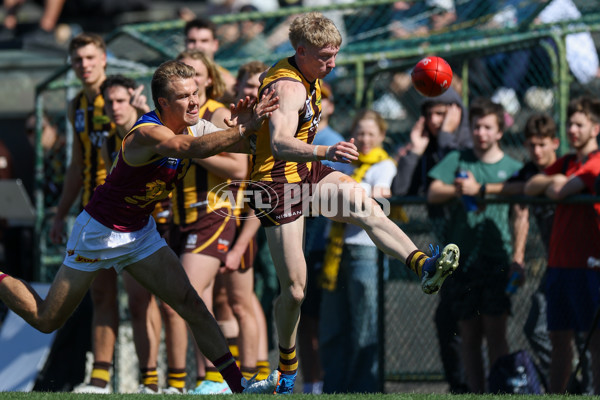 VFL 2025 Second Semi Final - Box Hill v Brisbane - A-62313891