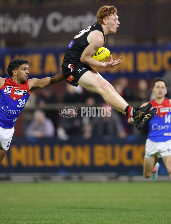 VFL 2025 First Semi Final - Frankston v Casey Demons - A-62314254