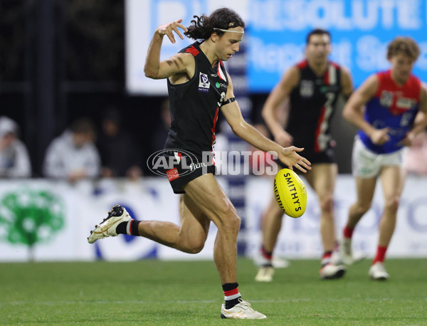 VFL 2025 First Semi Final - Frankston v Casey Demons - A-62316508