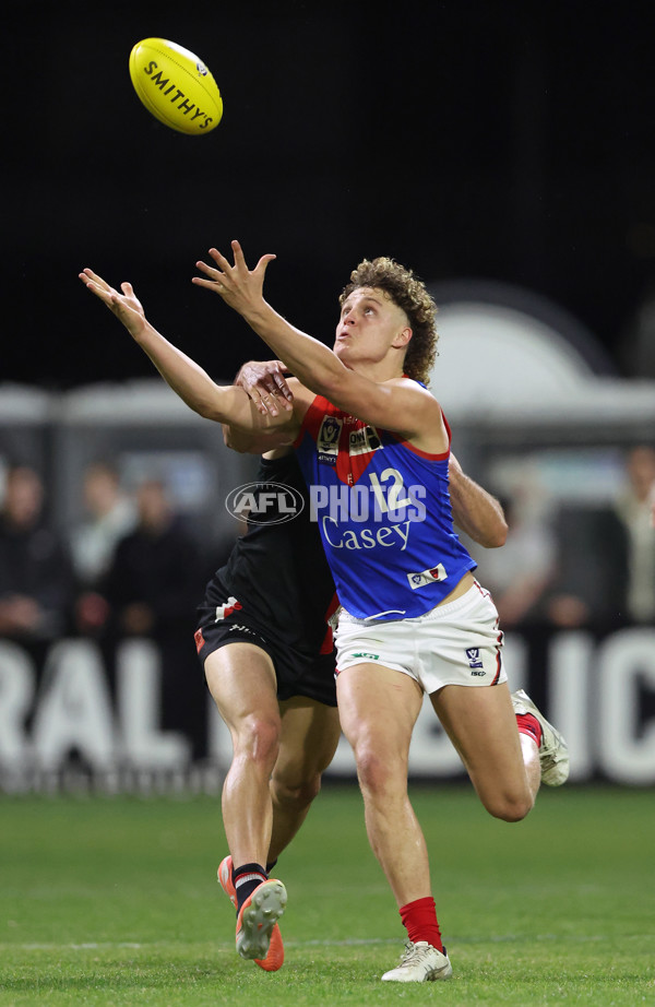 VFL 2025 First Semi Final - Frankston v Casey Demons - A-62316802