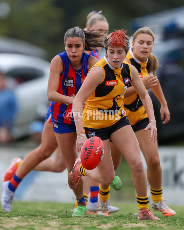 Coates League Girls 2025 Preliminary Final - Dandenong Stingrays v Oakleigh Chargers - A-62319056
