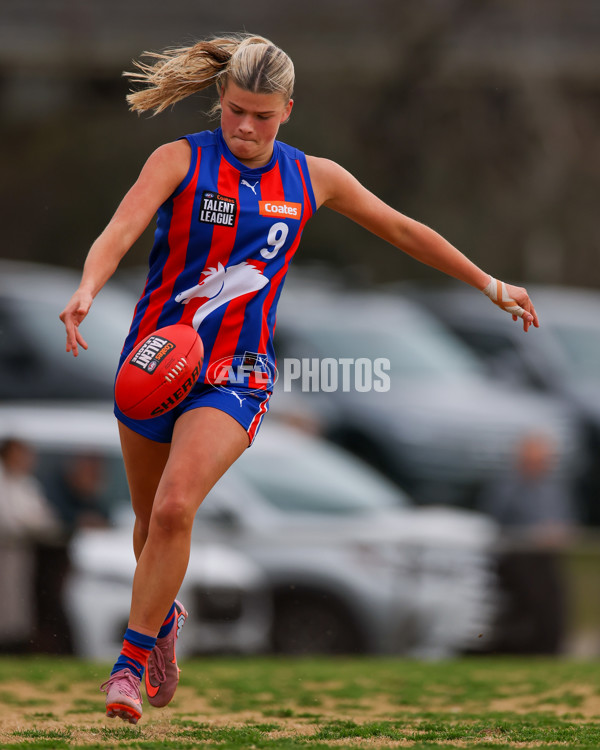 Coates League Girls 2025 Preliminary Final - Dandenong Stingrays v Oakleigh Chargers - A-62319057