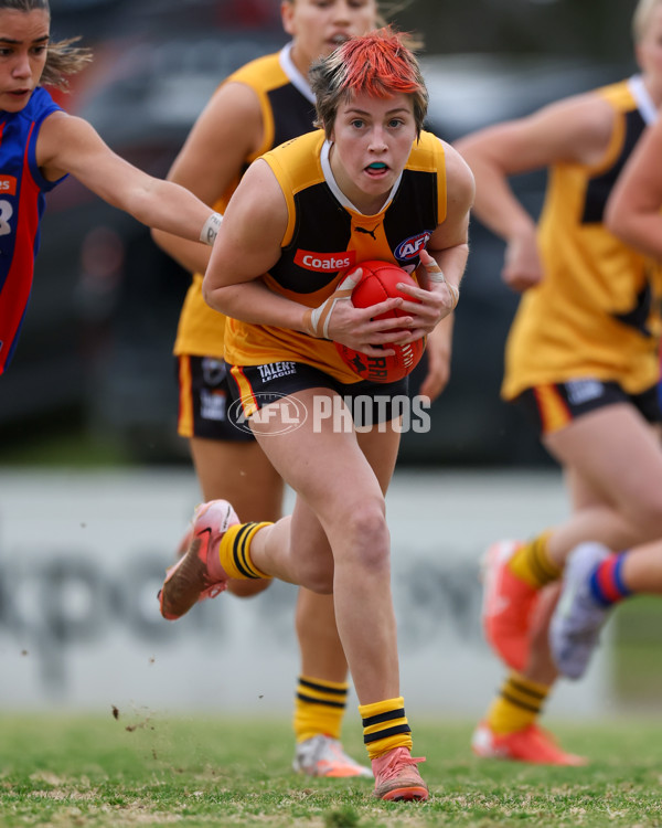 Coates League Girls 2025 Preliminary Final - Dandenong Stingrays v Oakleigh Chargers - A-62319061
