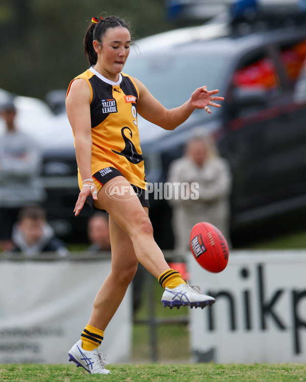 Coates League Girls 2025 Preliminary Final - Dandenong Stingrays v Oakleigh Chargers - A-62319081