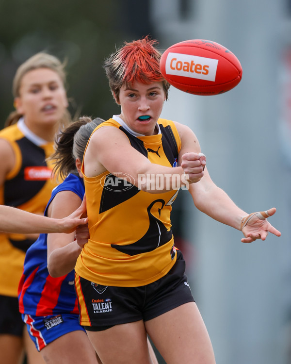 Coates League Girls 2025 Preliminary Final - Dandenong Stingrays v Oakleigh Chargers - A-62319737