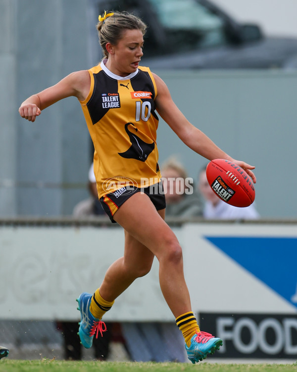 Coates League Girls 2025 Preliminary Final - Dandenong Stingrays v Oakleigh Chargers - A-62319751