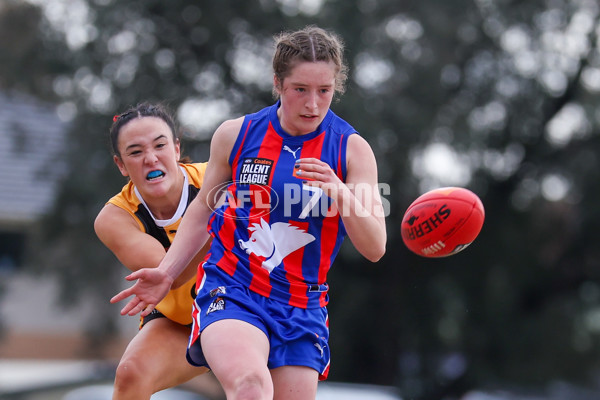 Coates League Girls 2025 Preliminary Final - Dandenong Stingrays v Oakleigh Chargers - A-62319752