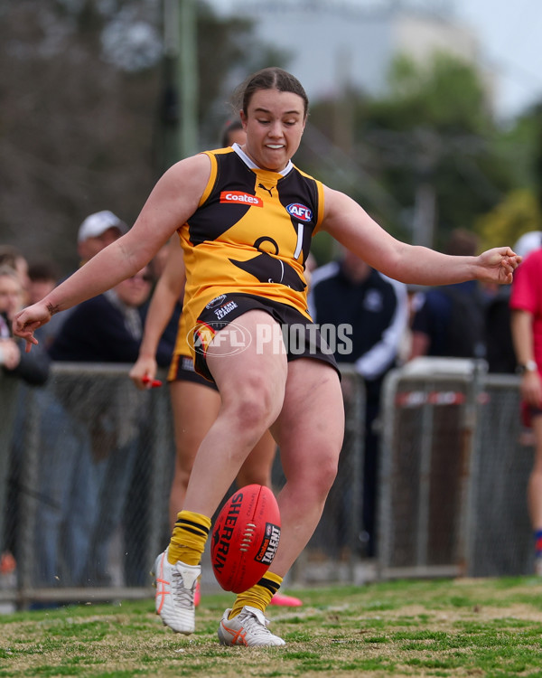 Coates League Girls 2025 Preliminary Final - Dandenong Stingrays v Oakleigh Chargers - A-62319766