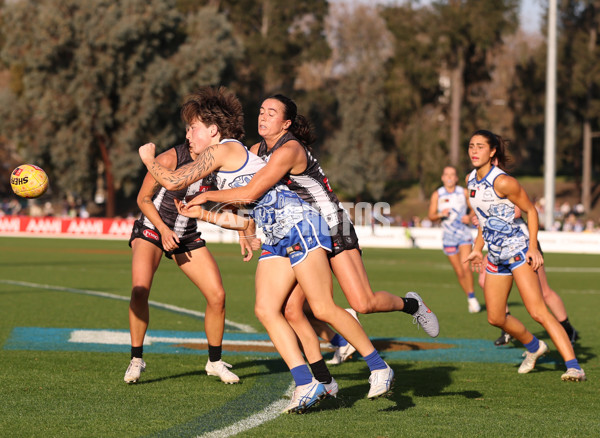 AFLW 2025 Round 04 - North Melbourne v Collingwood - A-62335594