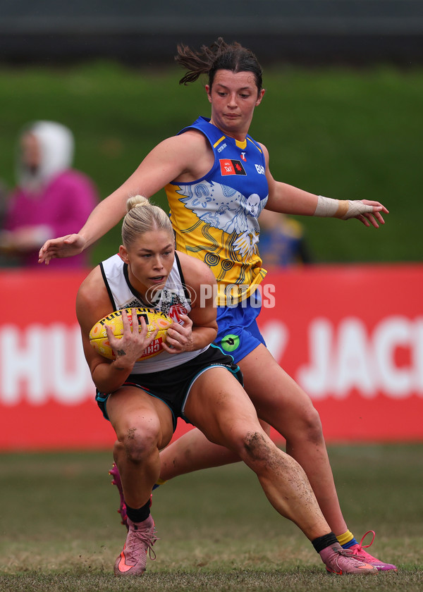 AFLW 2025 Round 04 - Waalitj Marawar v Yartapuulti - A-62341262
