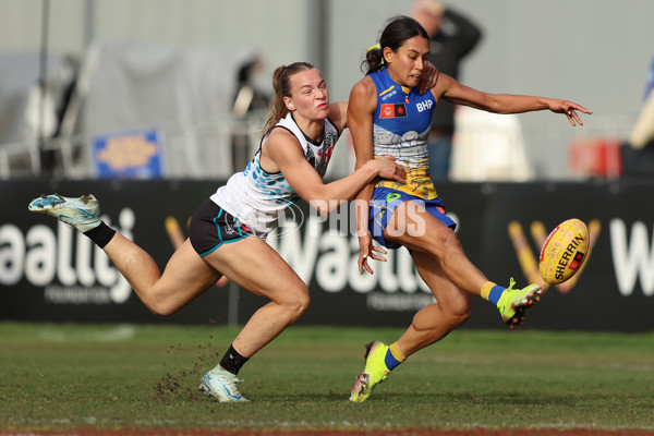 AFLW 2025 Round 04 - Waalitj Marawar v Yartapuulti - A-62341321