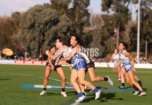 AFLW 2025 Round 04 - North Melbourne v Collingwood - A-62344708