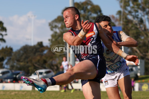 Coates League Boys 2025 Quarter Final - Sandringham Dragons v Oakleigh Chargers - A-62346217