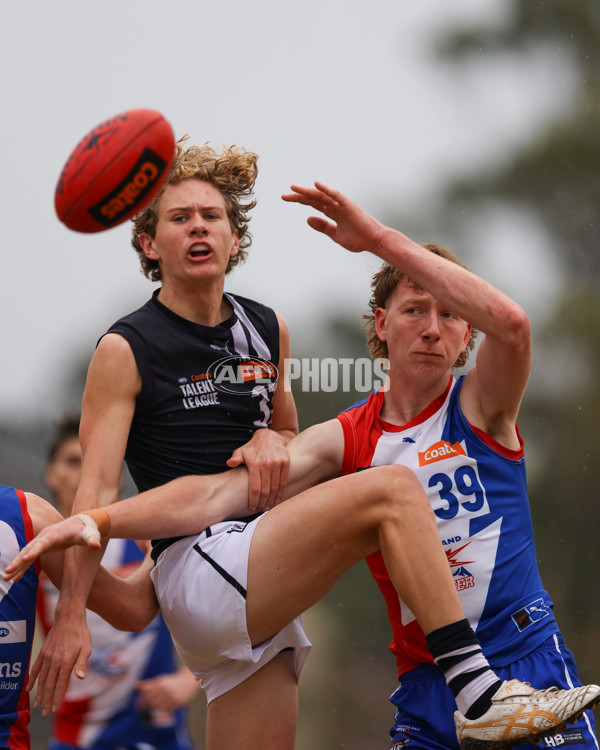 Coates League Boys 2025 Quarter Final - Gippsland Power v Geelong Falcons - A-62351637