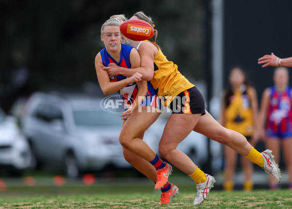 Coates League Girls 2025 Preliminary Final - Dandenong Stingrays v Oakleigh Chargers - A-62355703