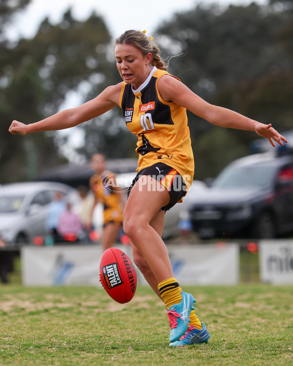 Coates League Girls 2025 Preliminary Final - Dandenong Stingrays v Oakleigh Chargers - A-62355709